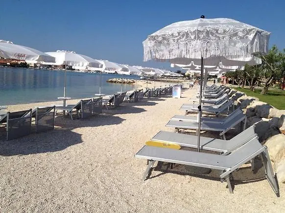 Tomena トロギール